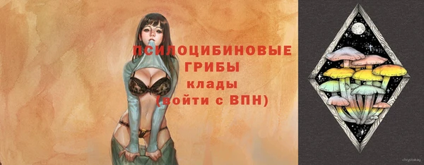 дмт Арсеньев