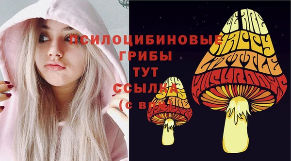 дмт Арсеньев