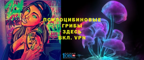 дмт Арсеньев